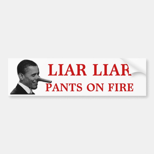 You LIE Bumper Sticker (Front)