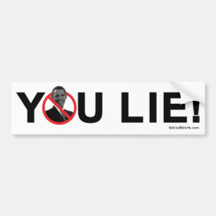 YOU LIE! BUMPER STICKER