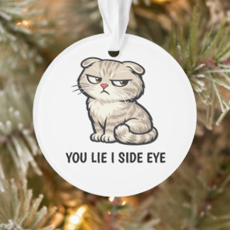 You Lie I Side Eye Funny Cute Tabby Cat Quote Ornament