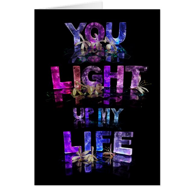 You Light Up My Life (Front)