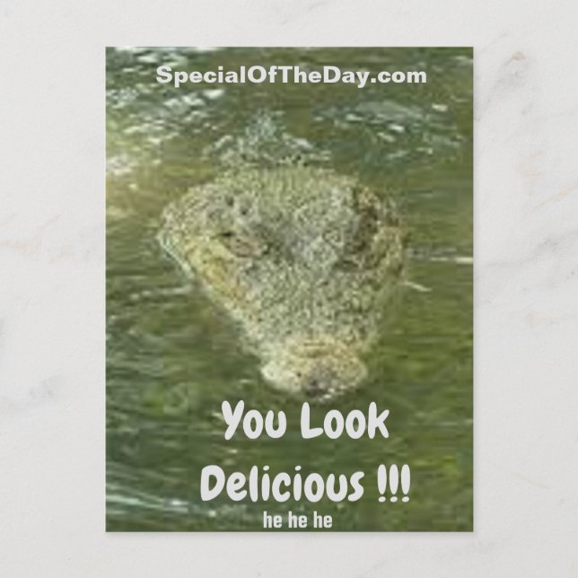 You Look Delicious Fun Postcard (Front)