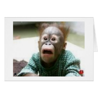 YOU LOOK LIKE A MONKEY TOO