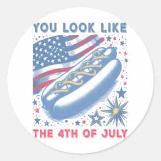 You Look Like The 4th Of July Hot Dog Viral Sloth Classic Round Sticker