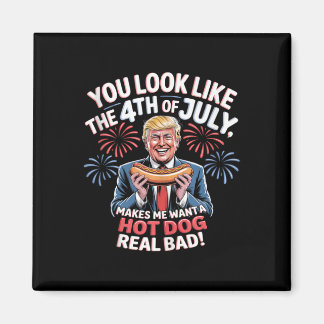 You Look Like The 4th Of July Makes Me Want Hotdog Magnet