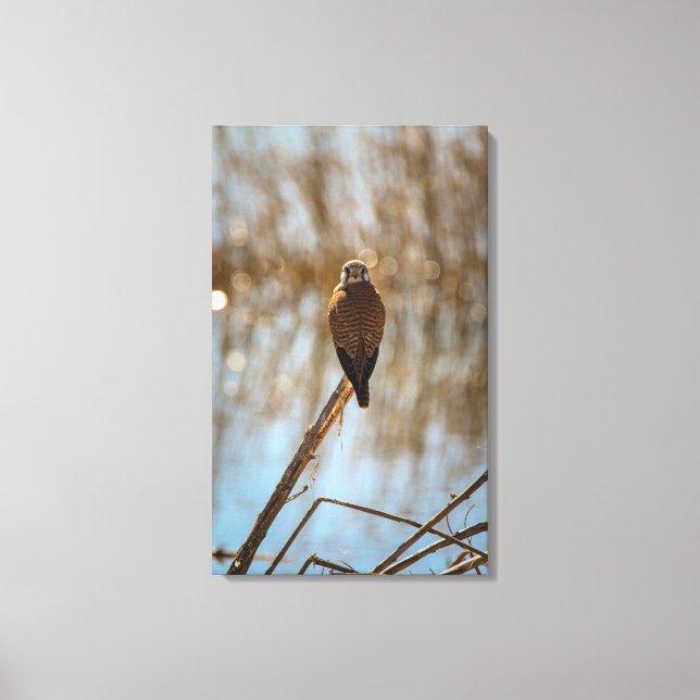 You lookin at me? canvas print (Front)