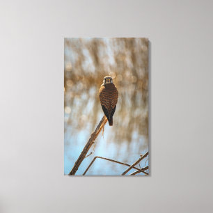 You lookin at me? canvas print