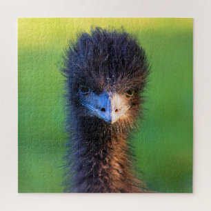 You Lookin' at Me?  -  Emu Jigsaw Puzzle - 20x20