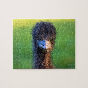 You Lookin' at Me?  -  Emu  Jigsaw Puzzle - 8x10