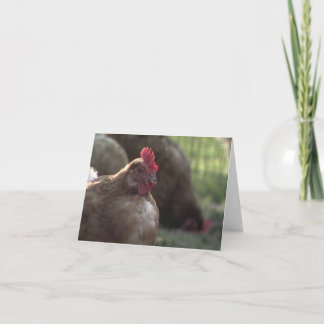 You Lookin' At Me? Note Cards