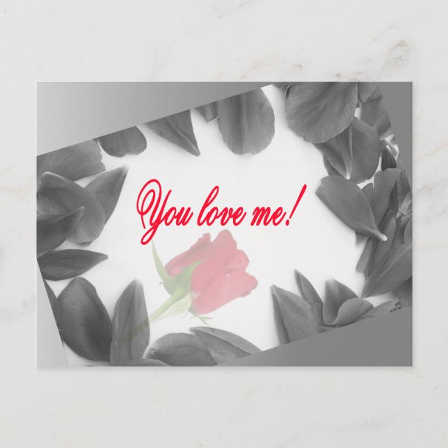 You love me! - postcards (Front)