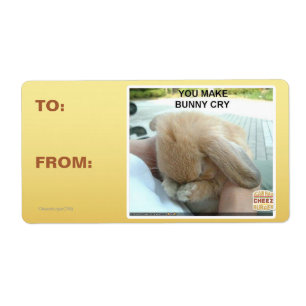 You make bunny cry