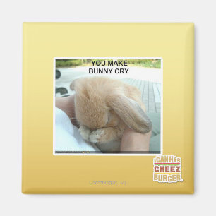 You make bunny cry magnet