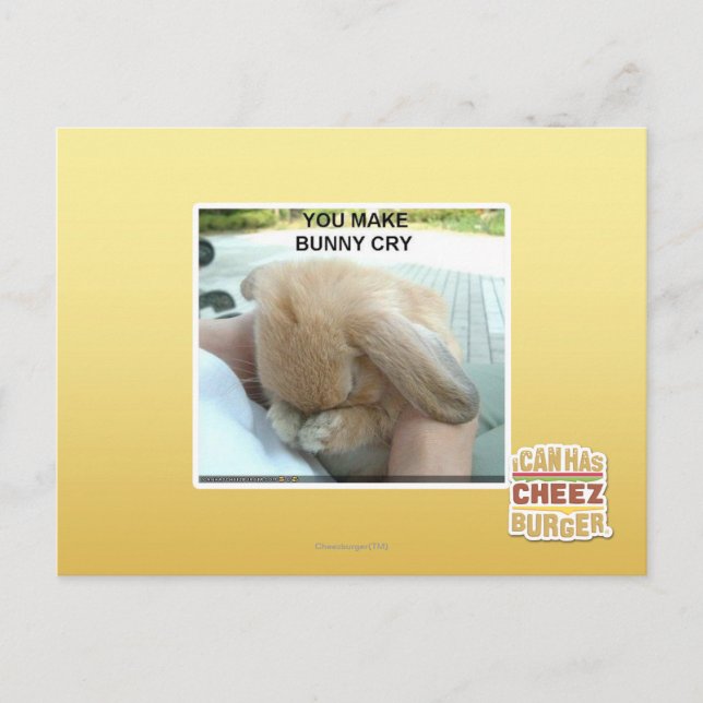 You make bunny cry postcard (Front)