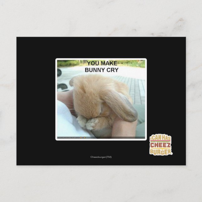 You make bunny cry postcard (Front)