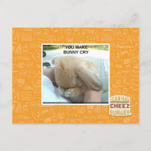 You make bunny cry postcard