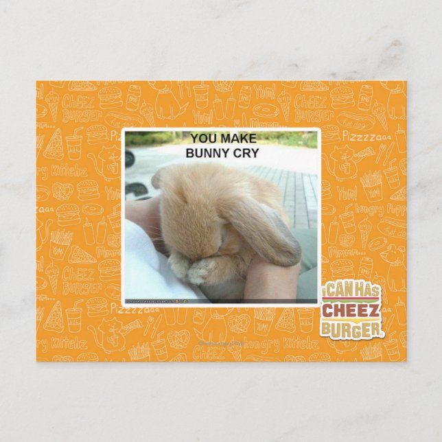You make bunny cry postcard (Front)