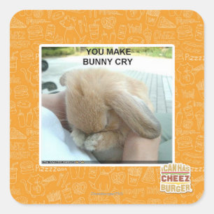 You make bunny cry square sticker