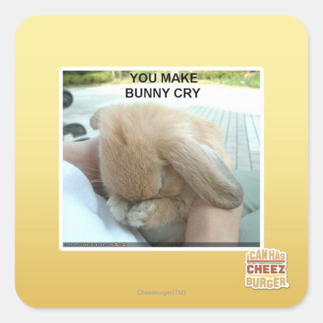 You make bunny cry square sticker (Front)
