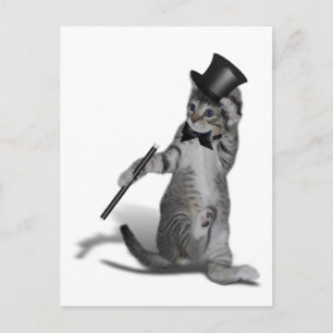 You make me feel like Dancing! Tap Dancing Cat Postcard
