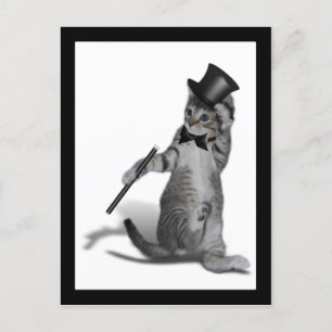 You make me feel like Dancing! Tap Dancing Cat Postcard