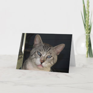 You Make Me Purr Anniversary Card