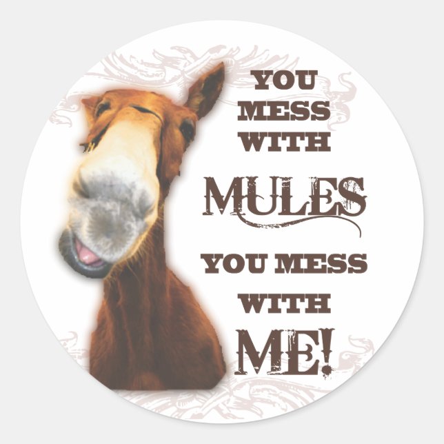 YOU MESS WITH MULES YOU MESS WITH ME CLASSIC ROUND STICKER (Front)