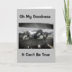 YOU MUST BE "KIDDING" YOU CAN'T BE "16" CARD