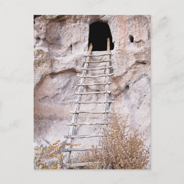 You Must Climb Pueblo Ladder Postcard (Front)
