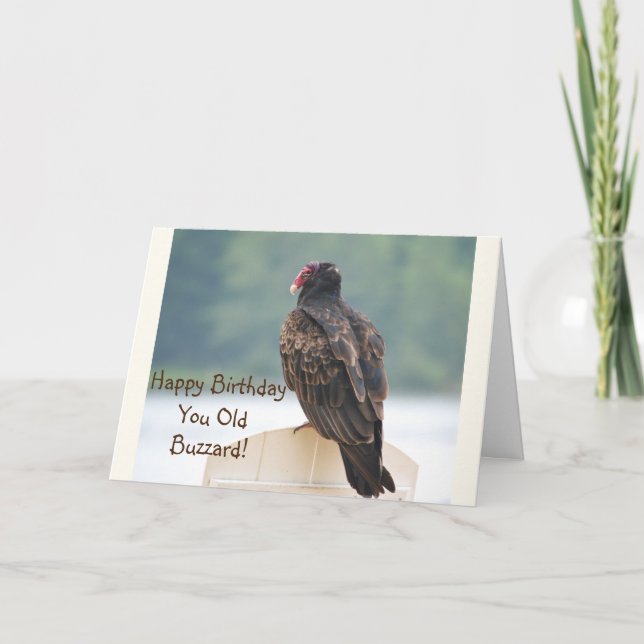 You Old Buzzard Birthday Card (Front)