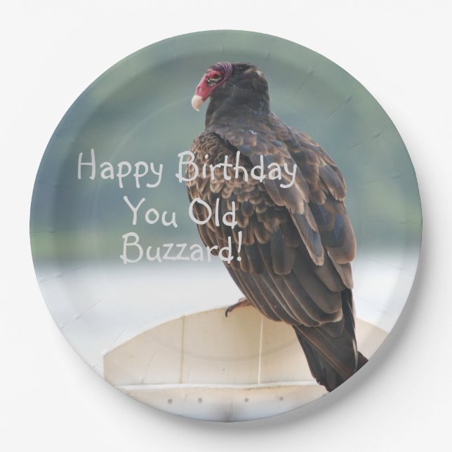 You Old Buzzard Birthday Paper Plate (Front)