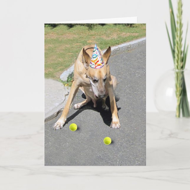 You Old Dog Card (Front)