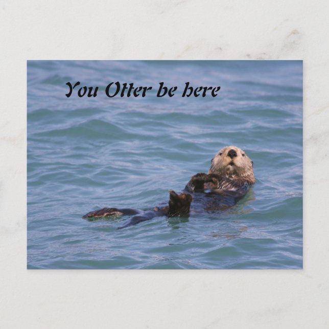 You Otter be here Postcard (Front)