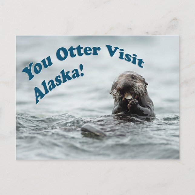 You Otter Visit Alaska Postcard (Front)