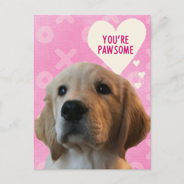 You’re PAWSOME Golden Valentine’s Day Postcard (Front)