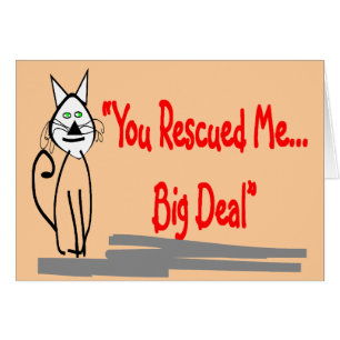 "You Rescued Me, Big Deal"--Cat Lovers Gifts