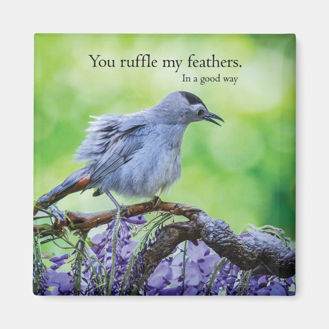 You Ruffle My Feathers   In a good way Magnet (Front)