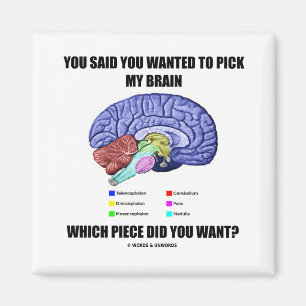 You Said You Wanted To Pick My Brain (Anatomy) Magnet