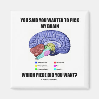 You Said You Wanted To Pick My Brain (Anatomy) Magnet