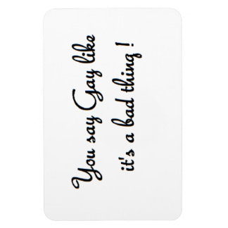 you say gay rectangle shaped magnet