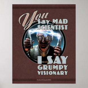 YOU Say Mad Scientist... poster (16x20")