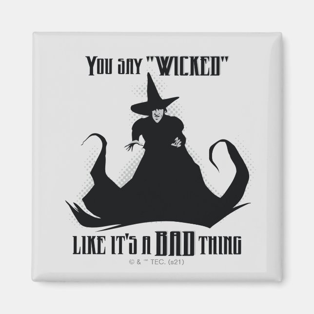 You Say "Wicked" Like It's A Bad Thing Magnet (Front)