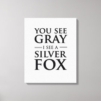 You See Grey, I See a Silver Fox Canvas Print