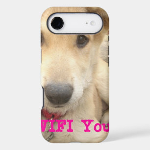 You Should WIFI Your Love Everyday