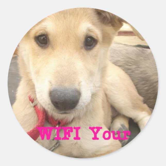 You Should WIFI Your Love Everyday Classic Round Sticker (Front)