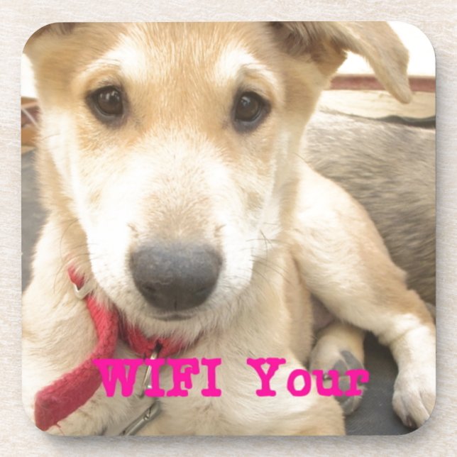 You Should WIFI Your Love Everyday Coaster (Front)