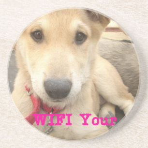 You Should WIFI Your Love Everyday Coaster