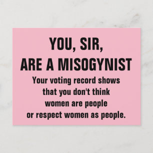You, Sir, Are a Misogynist Postcard