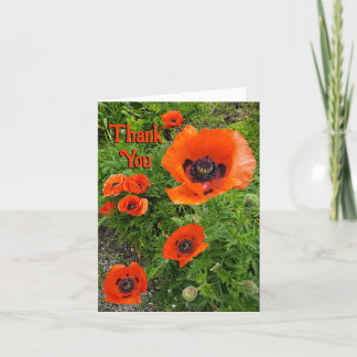 You Sow the Seeds of so much Joy Thank You Card