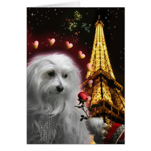 You Think You Know Love! Maltese Eifel Tower