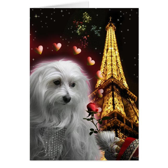 You Think You Know Love! Maltese Eifel Tower (Front)